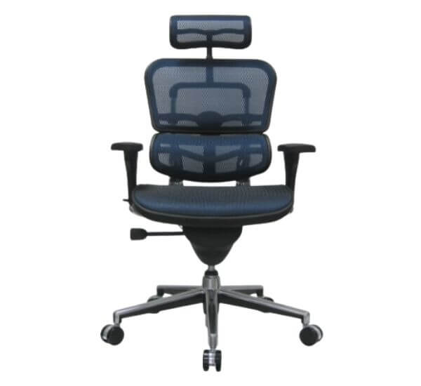 Ergohuman High Back Swivel Chair