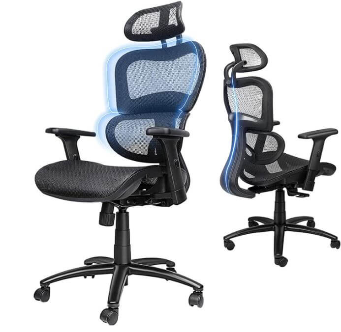 Ergousit Ergonomic Office Chair