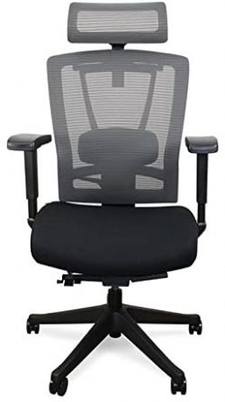 Autonomous ErgoChair, Premium Office Chair