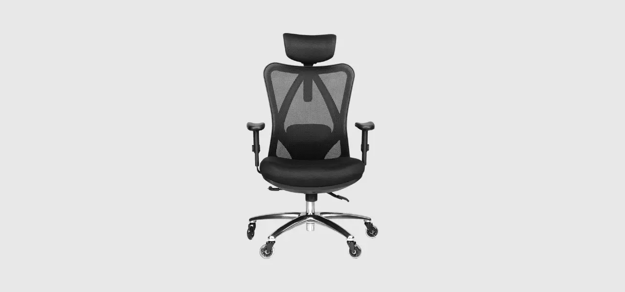 Duramont Ergonomic Adjustable Office Chair