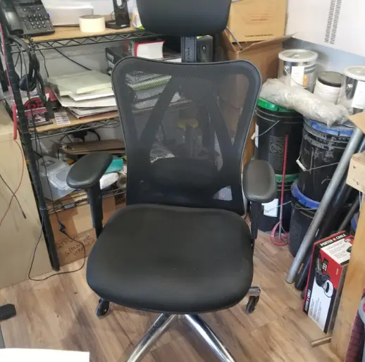 Duramont Ergonomic Office Chair