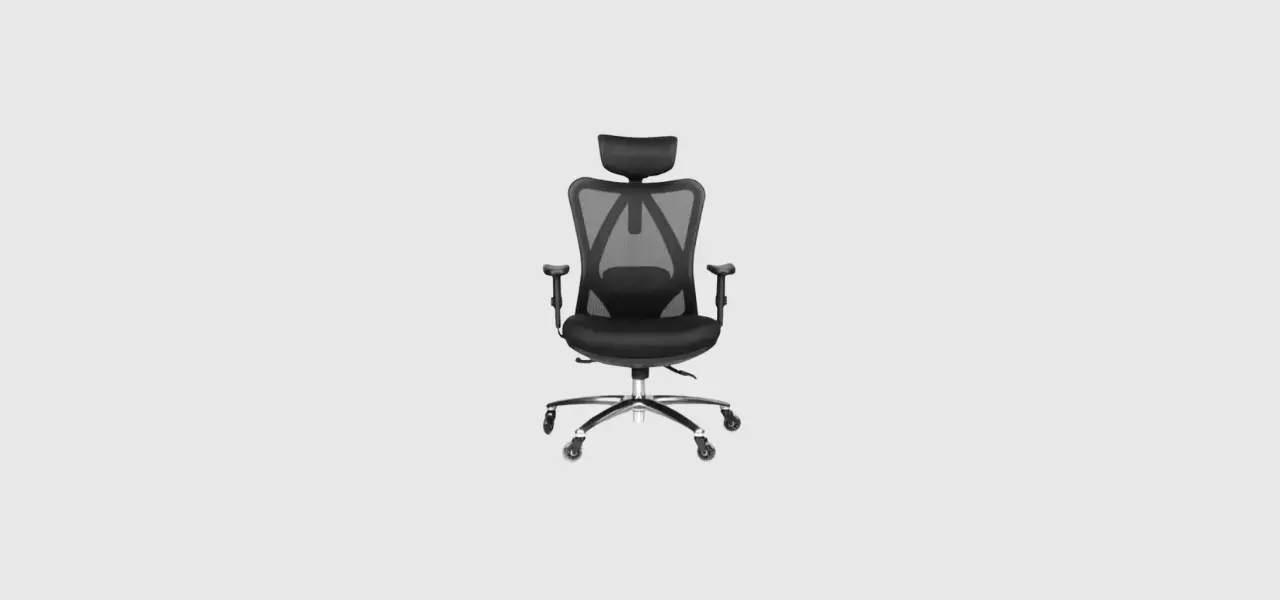 Duramont Office Chair for Sciatica