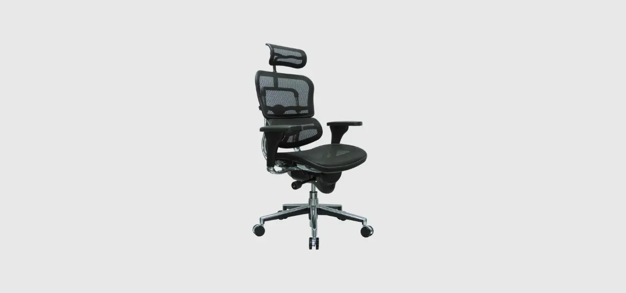 Ergohuman High Back Swivel Chair