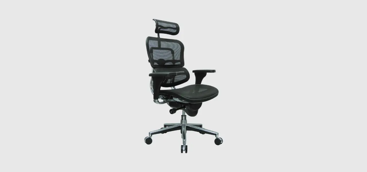 Ergohuman High Back Swivel Chair