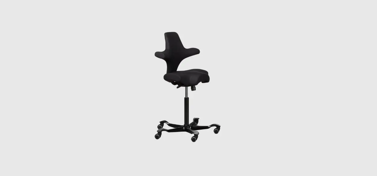 Fully Hag Capisco Office Chair