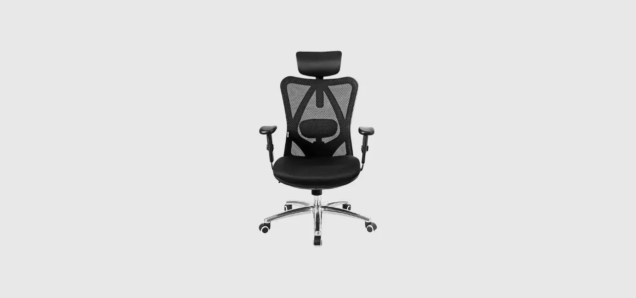 Giantex Ergonomic Office Chair