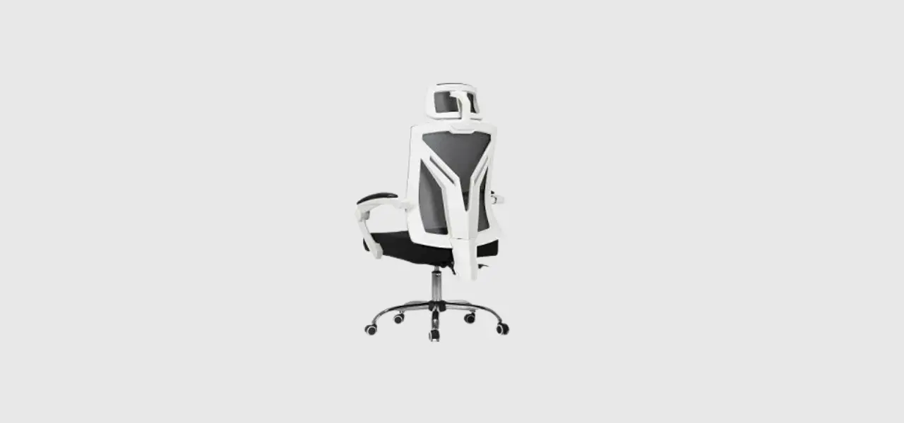 Hbada Ergonomic Office Recliner Chair