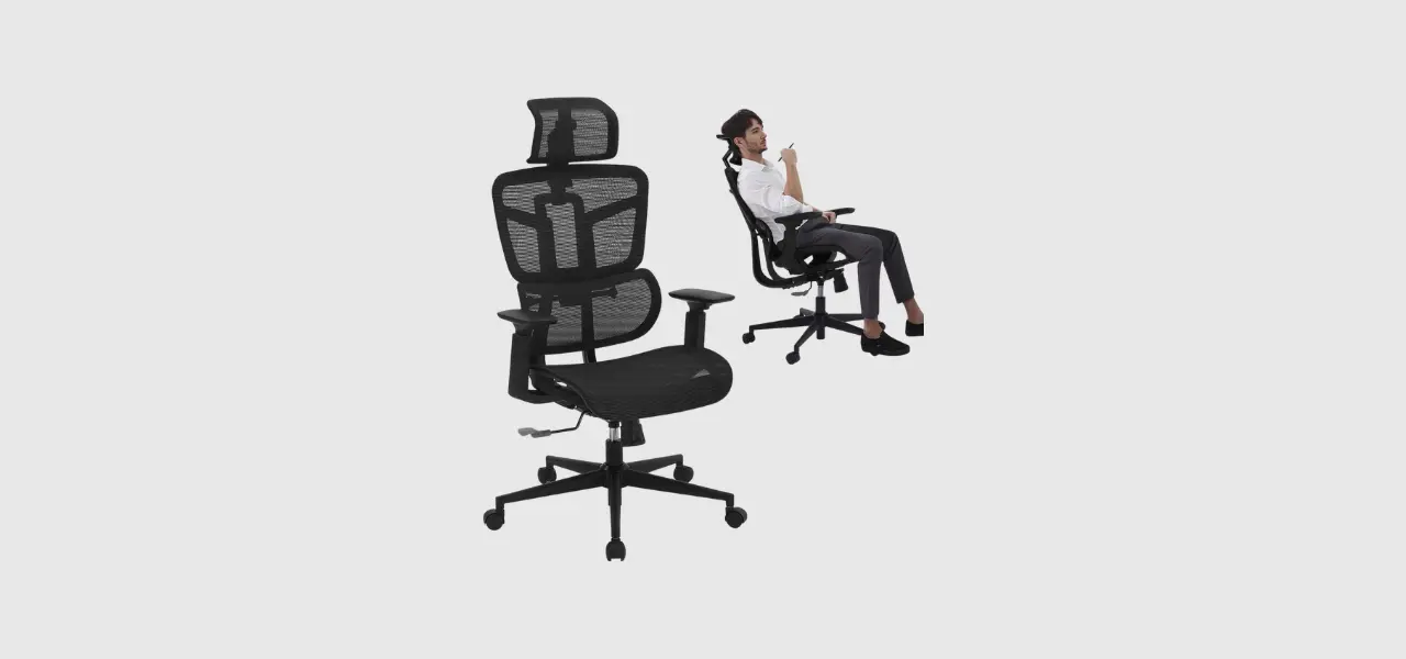 SAMOFU Ergonomic High Back Desk Chair