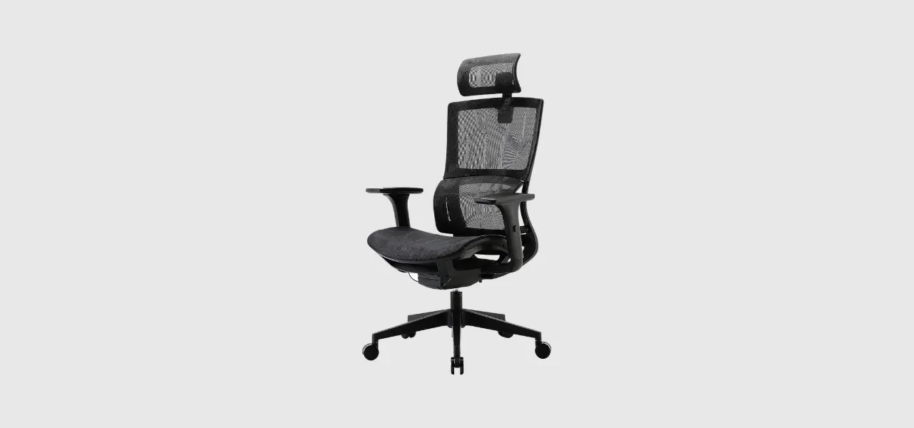 XUER Ergonomic Office Chair