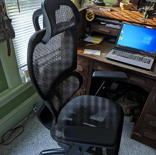 Ergousit Ergonomic Office Chair