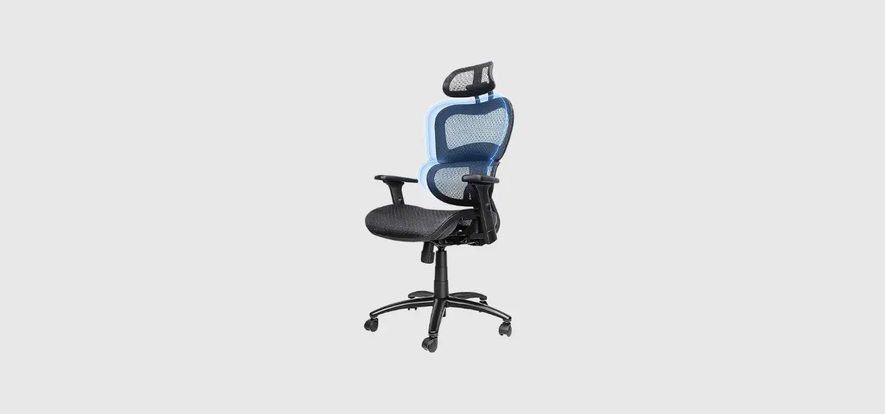 Ergousit Ergonomic Office Chair