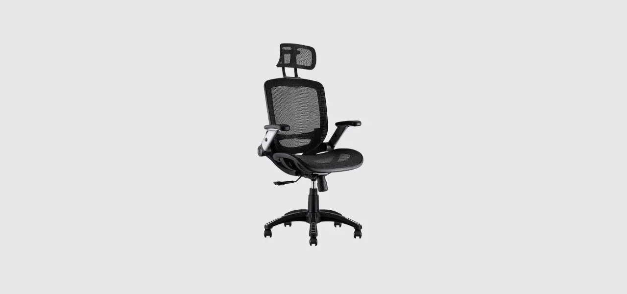 Gabrylly Ergonomic Mesh Office Chair