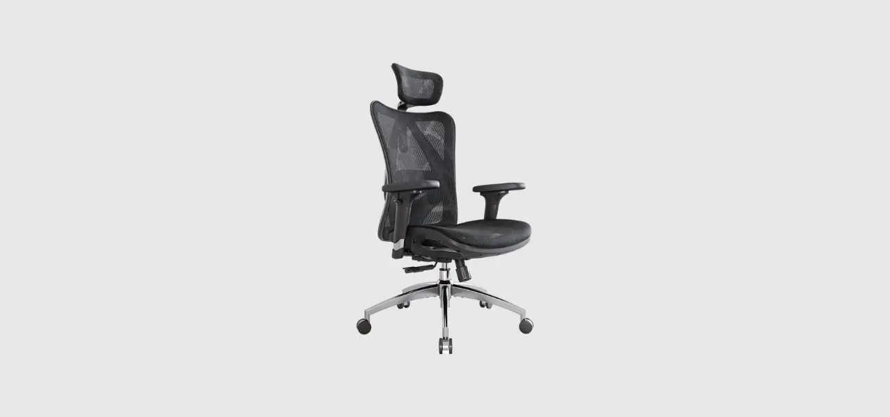 SIHOO Ergonomic Adjustable Office Chair