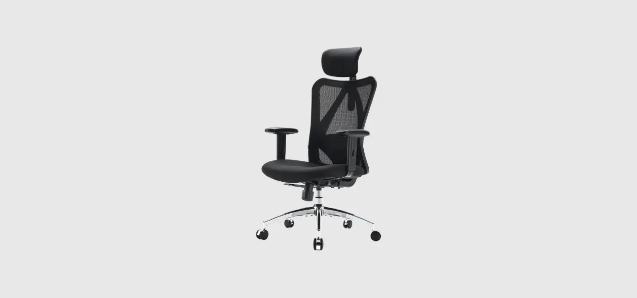 SIHOO Office Chair Ergonomic Office Chair