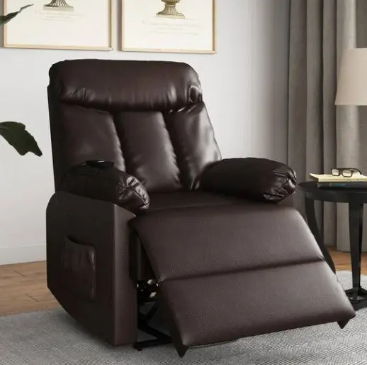 Domesis Renu Leather Power Lift Chair Recliner